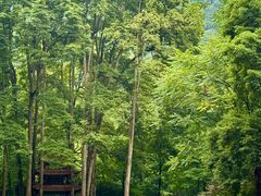 -青城山