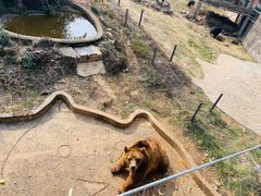 -无锡动物园·太湖欢乐园