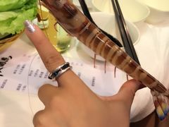 -鲜入围煮花胶鸡海鲜火锅