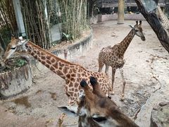 -长鹿旅游休博园