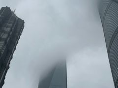 -上海中心大厦