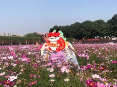 -新地休闲农场