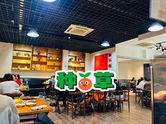 -红辣椒八爪鱼特色韩国料理
