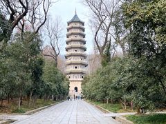 -灵谷景区