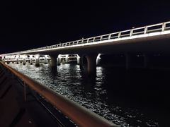 -演武大桥观景平台