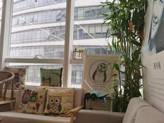 -猫头鹰照相馆(国贸店)