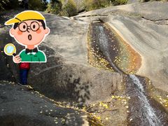 -芦芽山旅游度假区