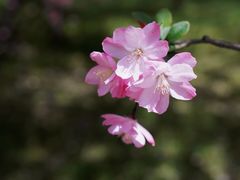 -九里河湿地公园