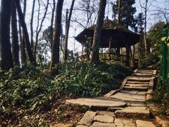 -青城山