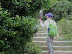 -大姆山草场