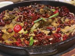 -老板恋上鱼(振华商厦店)