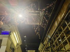 -风波庄(罍街分舵)