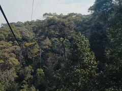 -清迈丛林飞跃 JungleFlight