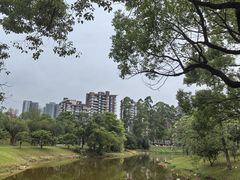 -东莞松山湖凯悦酒店