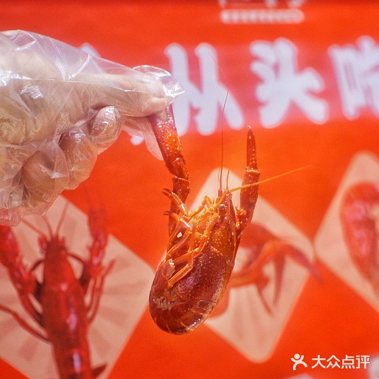 左手撸串右手龙虾！🦞明星打卡的新晋夜宵胜地