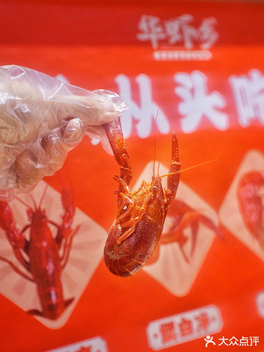 左手撸串右手龙虾！🦞明星打卡的新晋夜宵胜地
