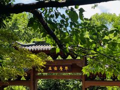 -杭州半山国家森林公园