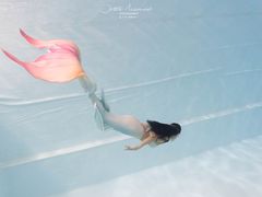 -上海潜殿潜水中心