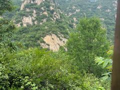 -大岭沟猕猴桃谷风景区