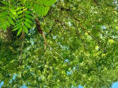 -酷鱼垂钓CLUB(朝阳区博大路店 )