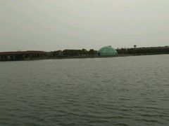 -上海都市菜园