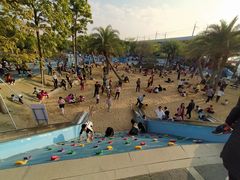 -宝安西湾红树林湿地公园