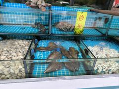 -茂港柏香(侨港路店)