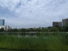 -西海子公园