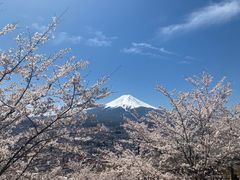 -富士山吉田線五合目
