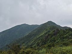 -大围山国家森林公园
