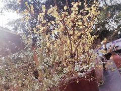 -悦哉·派对·草坪婚礼·围炉煮茶(三圣乡店)
