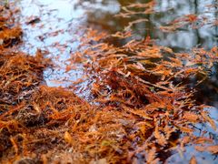 -上海证券交易所(上海证券大厦北塔店)