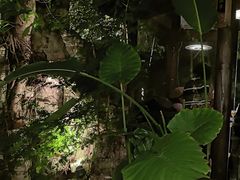 -夜宴江景餐厅