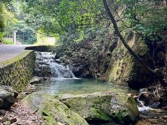 -佛山市三水区大南山森林公园