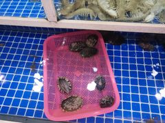 -威海渔村(黄兴路店)