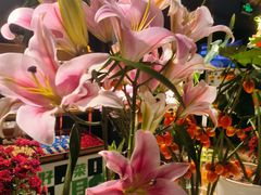 -懒人盐府人家(航天桥店)