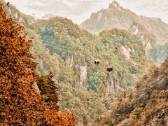 -老君山风景名胜区