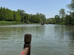 -溱湖国家湿地公园