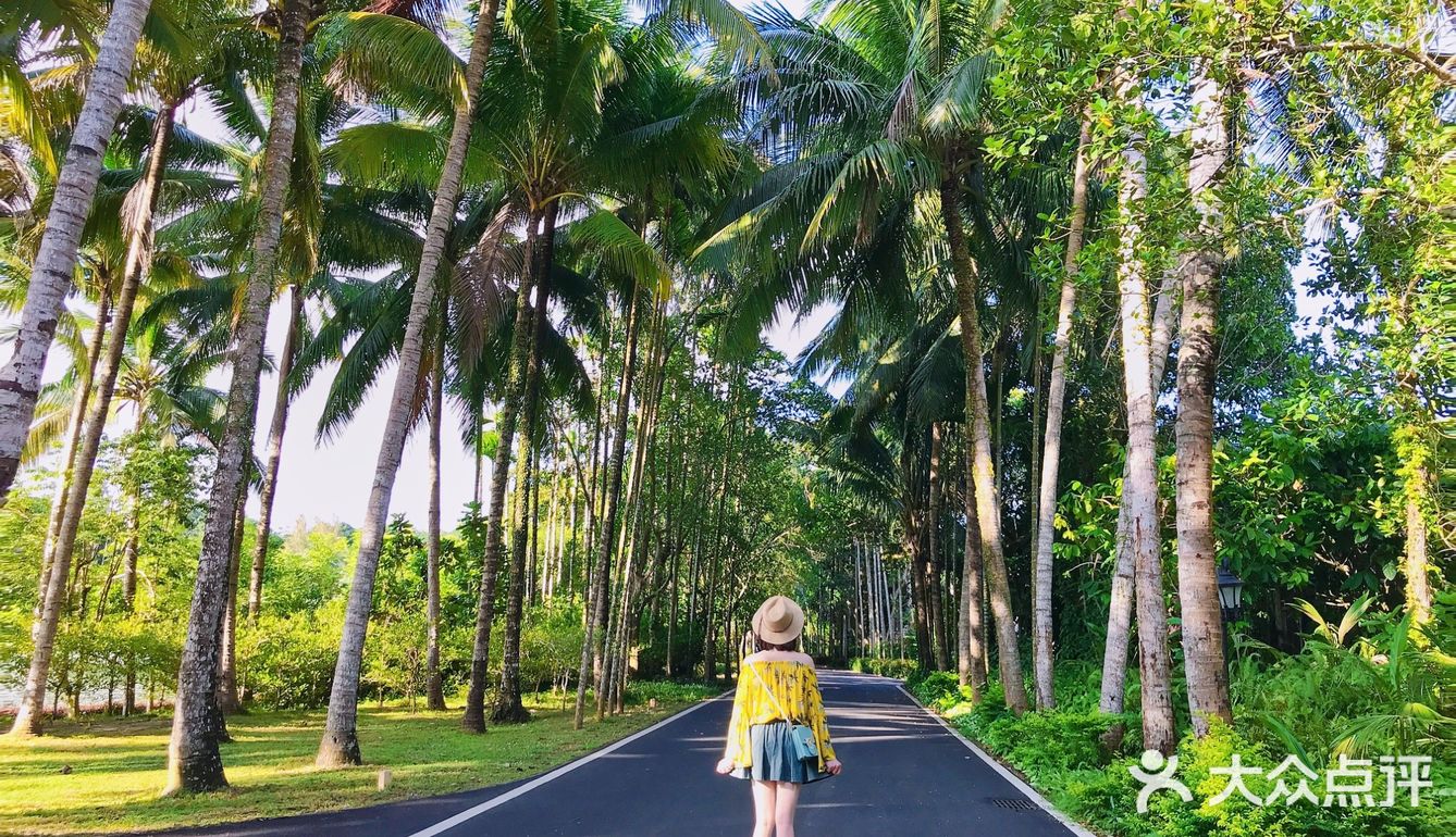 海南旅游｜天了噜‼️热带植物园让我开了眼👀