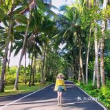 海南旅游｜天了噜‼️热带植物园让我开了眼👀