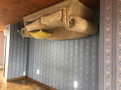 -金山农民画村-枫泾波兰倒置屋