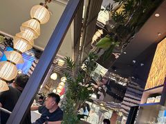 -桂满陇·海市蜃楼·黑金(国金店)