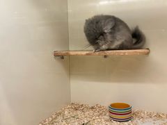 -龙猫仔乐园(惠福东路店)