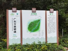 -羚羊峡古栈道森林公园
