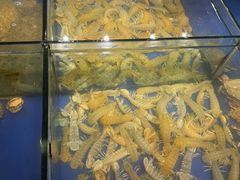 -渔家大院·地道威海菜(石岛店)