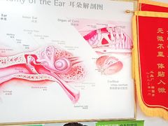 -自然之声助听器·呼吸机(保定清苑店)