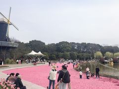 -上海鲜花港