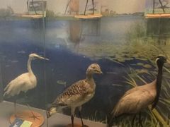 -下渚湖国家湿地公园科普馆