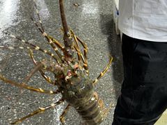 -霞涌市场海鲜摆卖区