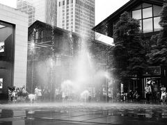 -ZARA(成都远洋太古里店)